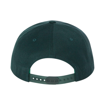 Green iLDS Snapback